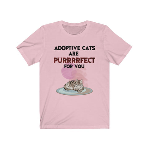 Image of Adaptive cats are perfect for you