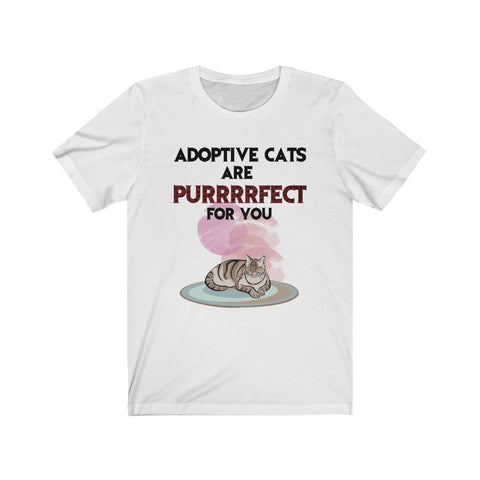 Image of Adaptive cats are perfect for you