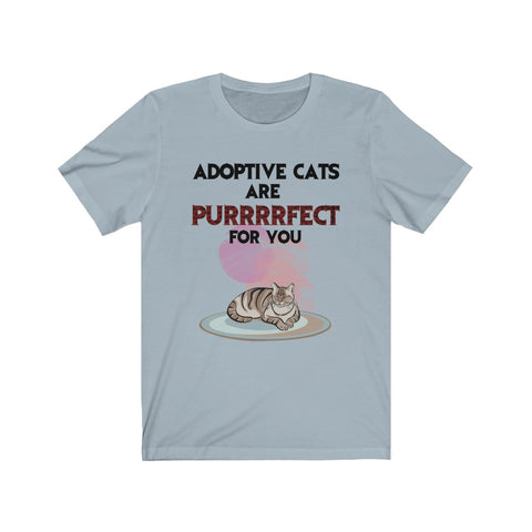 Image of Adaptive cats are perfect for you